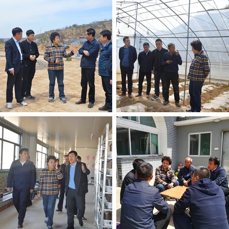 山西省侨联机关赴包扶村开展巩固提升帮扶工作0.jpg